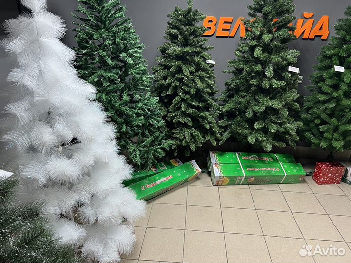 Ель пушистая 180см