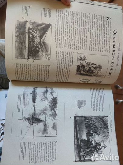 Стен Смит. Рисунок, полный курс