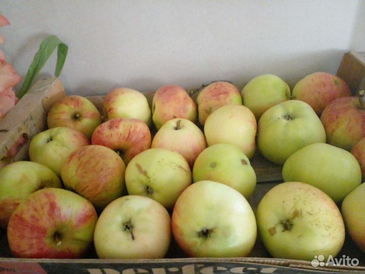 Яблоки и сок из них