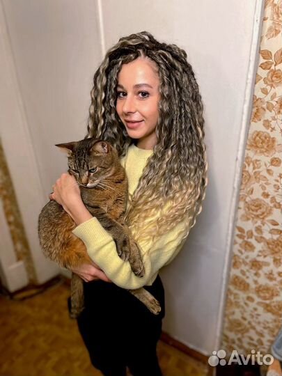 Афрокосы, дреды, брейды, афрокудри