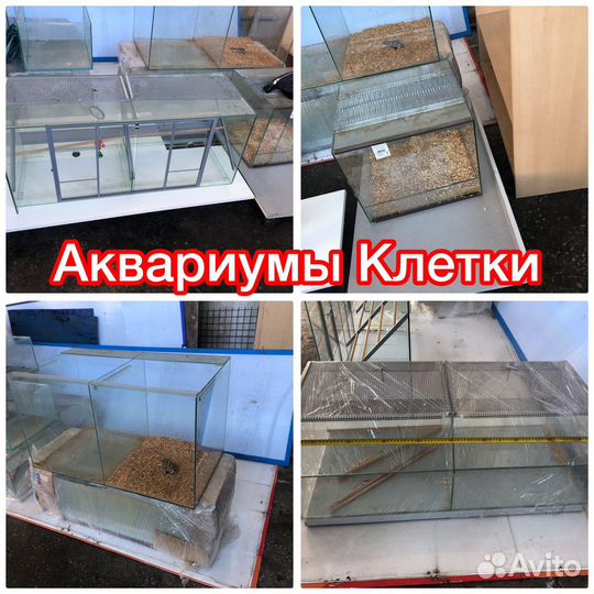 Аквариум, террариум,клетки для животных/мелких гры