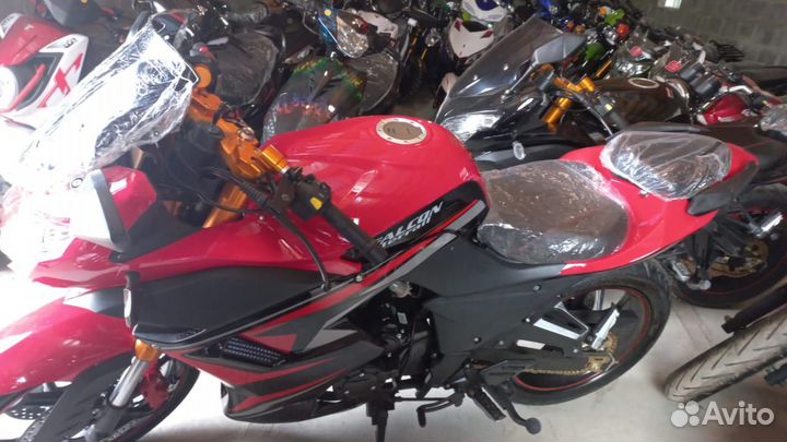 Falcon Terrail 250 NEW