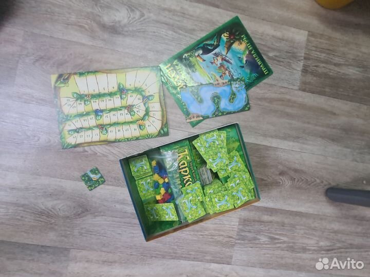 Каркассон амазонка