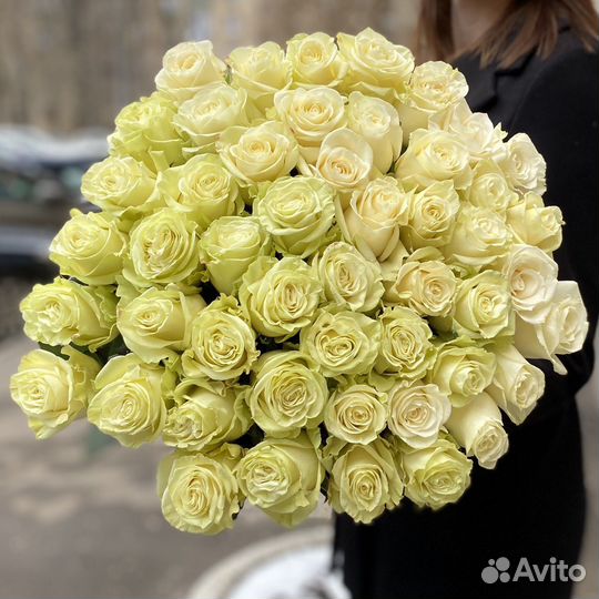 Премиальная роза эквадор, белые розы 70см