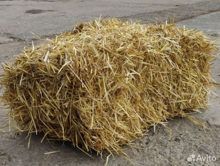 Солома в тюках