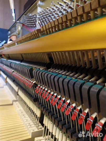 Настройка пианино и рояля