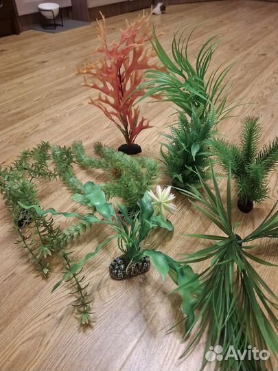 Аквариум с полным комплектом