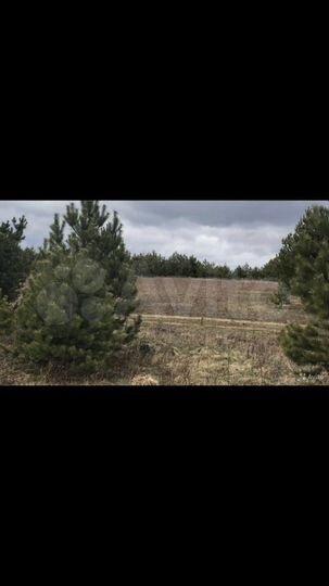 Участок 16 сот. (ИЖС)