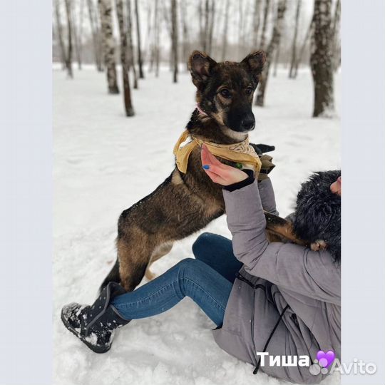 Хорошая девочка в добрые руки