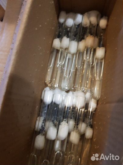 Муравьиные фермы