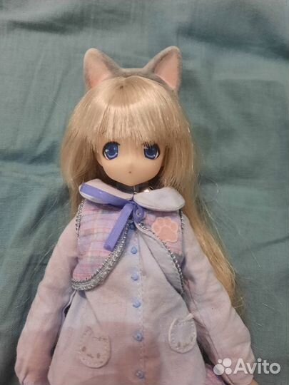 Кукла azone кошка