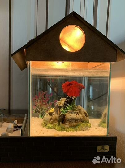 Аквариум