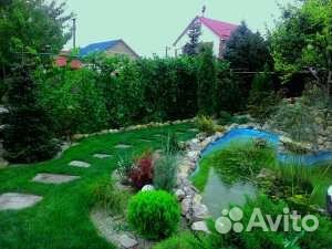 Рулонный газон