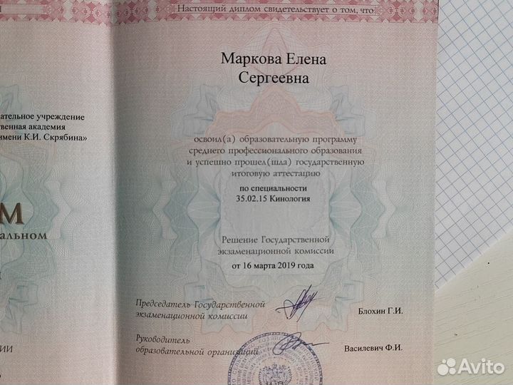 Услуги кинолога