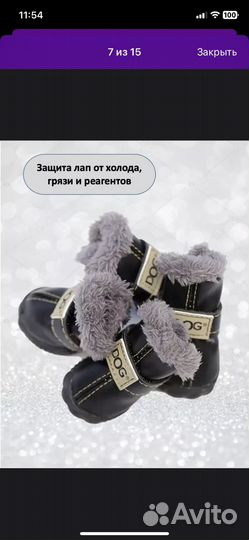 Обувь для собак