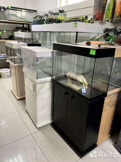 Аквариумы, рыбки