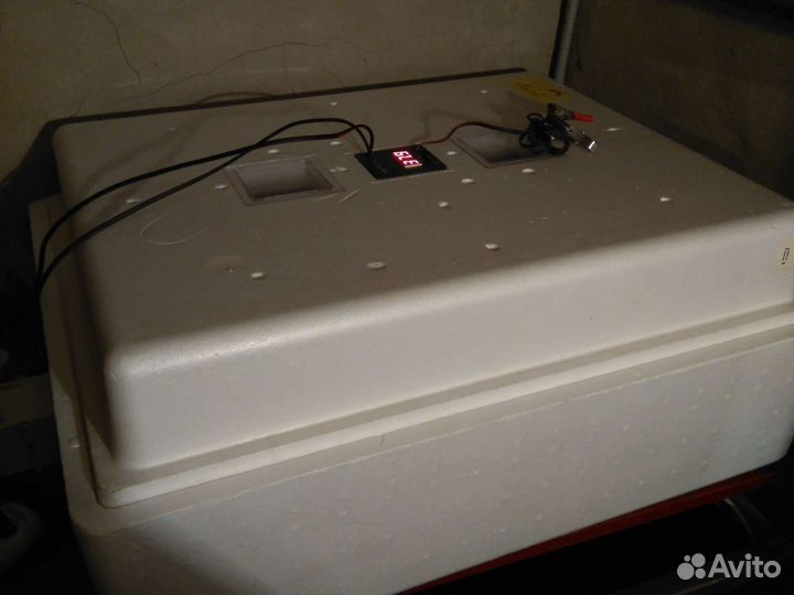 Инкубатор Несушка