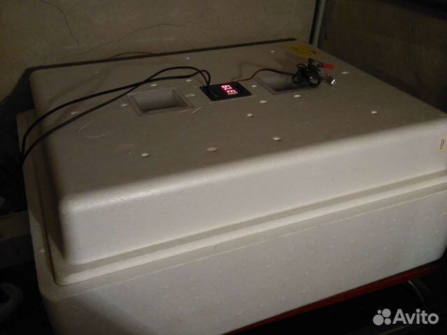 Инкубатор Несушка