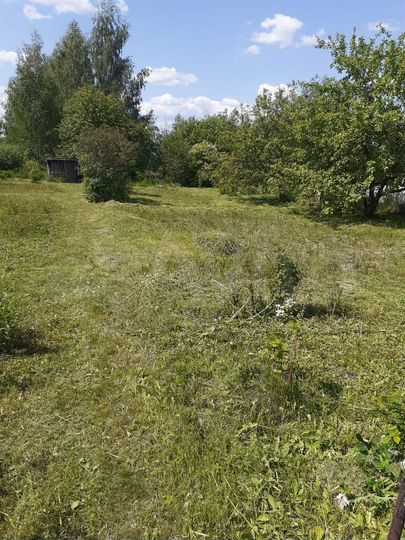 Участок 10 сот. (СНТ, ДНП)