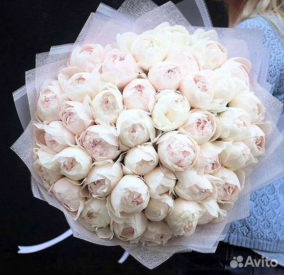 Пионы Букет пионов