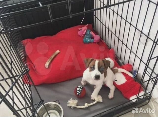 Клетки для coбaк и кошек домaшние