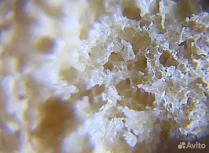 Клип-микроскоп для телефона