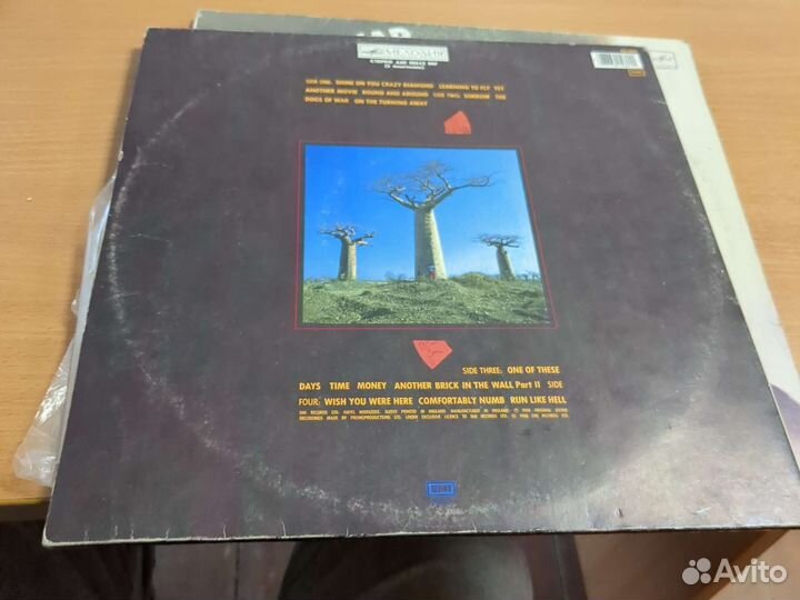 Пластинка Pink Floyd - Delicate Sound of Thunder