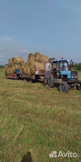 Сено в тюках