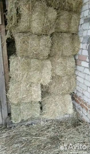 Сено в тюках. Чистое