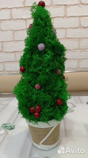 Елка из стабилизированного мха