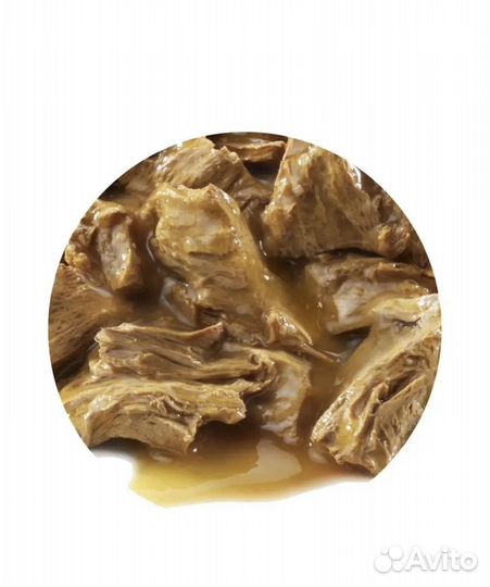 Корм для кошек pro plan