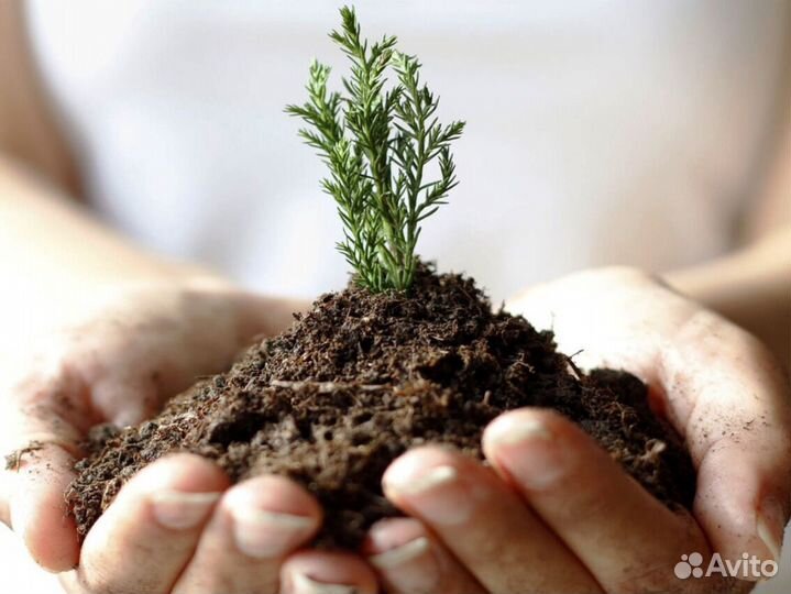 Чернозем, грунт, земля от карьера