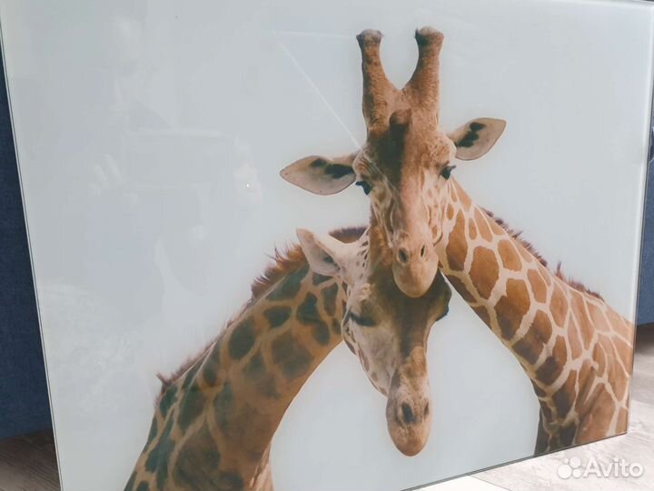 Картина стекло