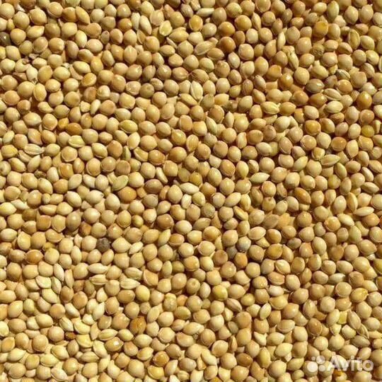 Просо жёлтое в мешках