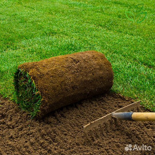 Рулонный газон