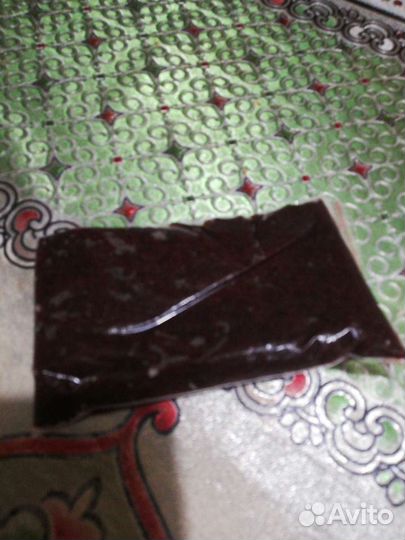 Аквариум для петушка