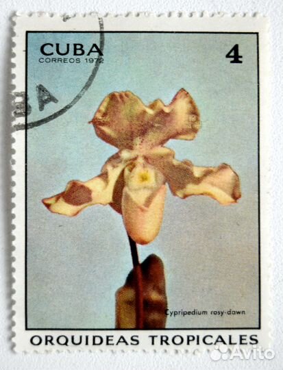 Серия марок Куба, 1972г., Флора, Цветы