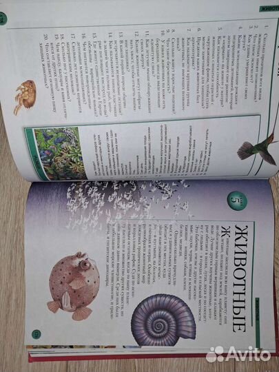 Детская энциклопедия