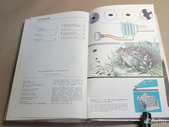 Бионика. Пособие для учителей Литинецкий И.Б