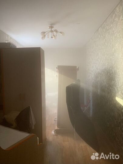 Дезинфекция тараканов клопов морить насекомых