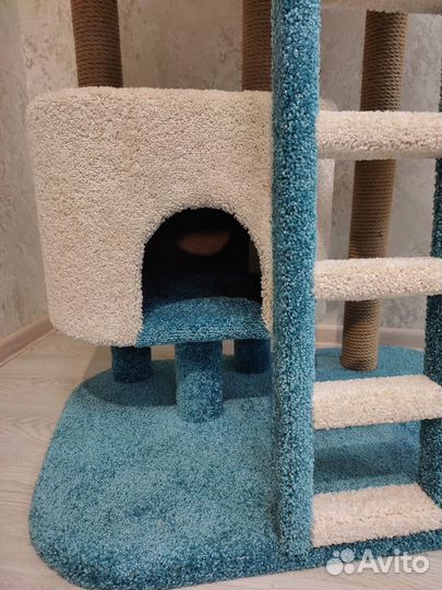 Комплекс для кошек для отдыха и игр 