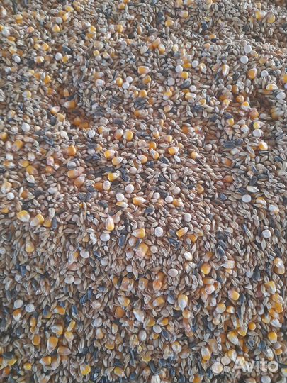 Зерносмесь