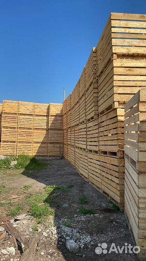 Ящик для картофеля