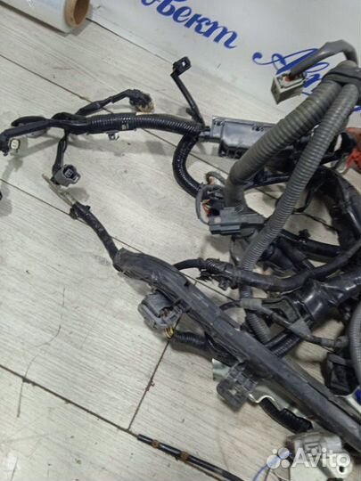 Проводка подкапотная Mazda Atenza GJ2FW shvptr