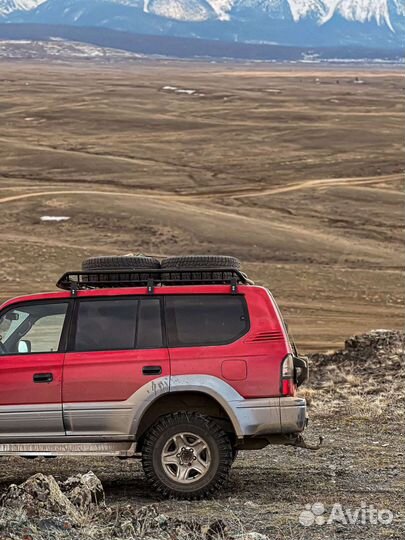 Аренда авто