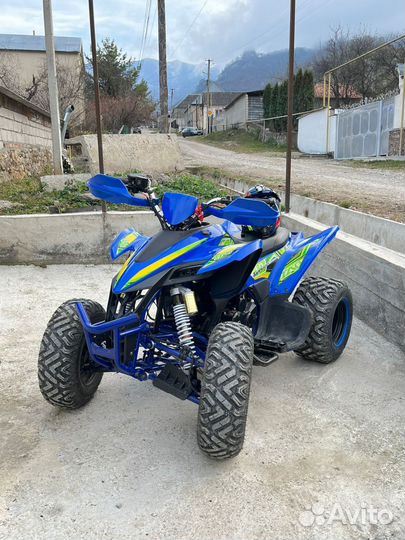 Yacota Typhoon 250