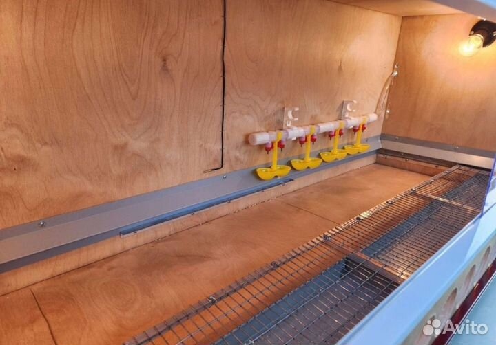 Брудер. Ящик для перевозки, Кормушка