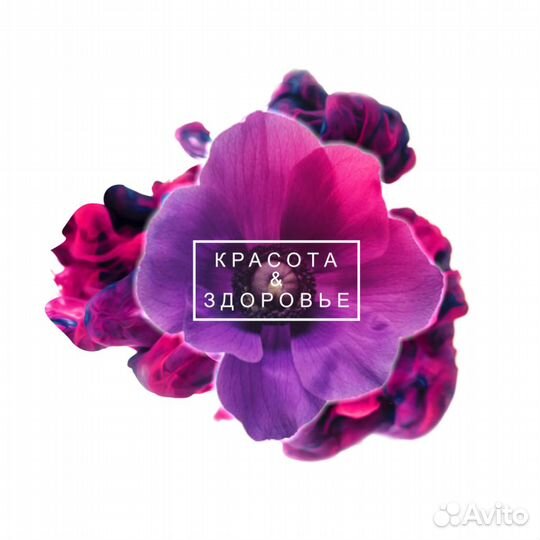 Менеджер-администратор