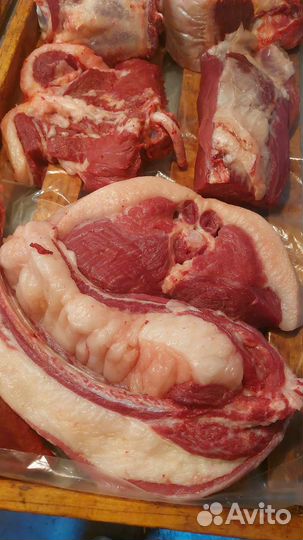 Мясо конина Халяль