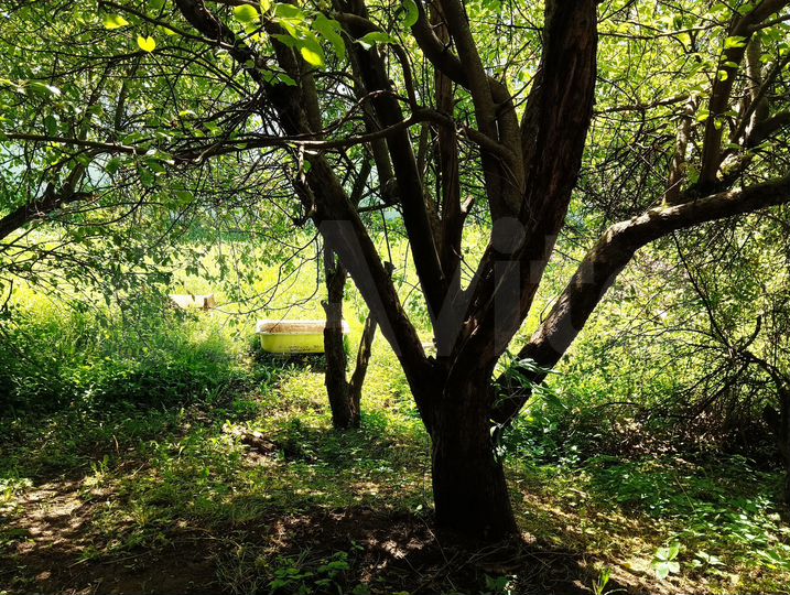 Участок 24 сот. (ИЖС)